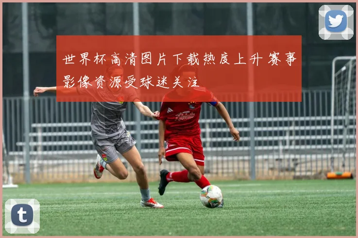 世界杯高清图片下载热度上升 赛事影像资源受球迷关注