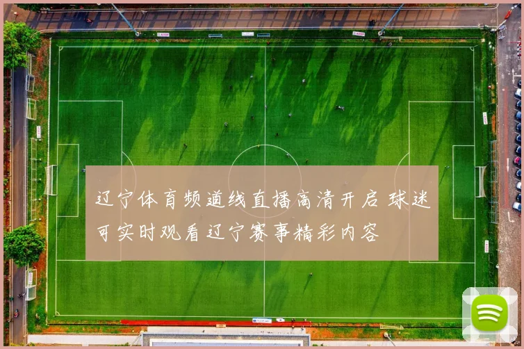 辽宁体育频道线直播高清开启 球迷可实时观看辽宁赛事精彩内容