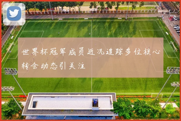 世界杯冠军成员近况追踪多位核心转会动态引关注