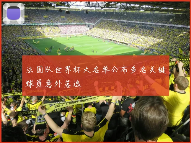 法国队世界杯大名单公布多名关键球员意外落选